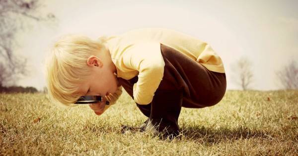 “科学的な学び” があっちこっちに！ 「生きる力」だけじゃない、キャンプの教育効果がすごい。