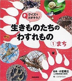 「セミのぬけがら」を集めて身近な自然環境について調べよう【小学生の自由研究（理科）】