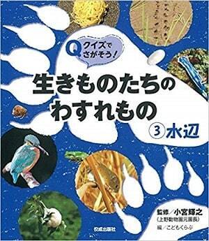 「セミのぬけがら」を集めて身近な自然環境について調べよう【小学生の自由研究（理科）】