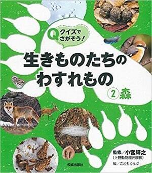 「セミのぬけがら」を集めて身近な自然環境について調べよう【小学生の自由研究（理科）】