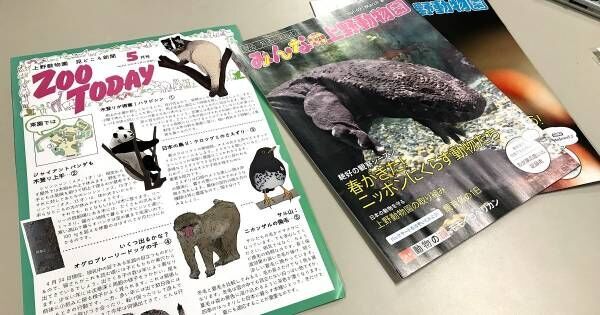 動物園は学びの場！　上野動物園の学芸員が伝授する、親必見の「動物観察準備テク」