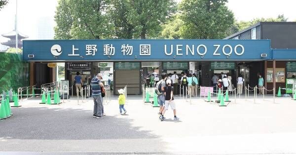 動物園は学びの場！　上野動物園の学芸員が伝授する、親必見の「動物観察準備テク」