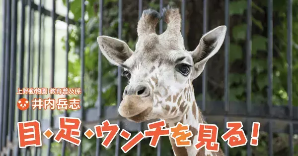 「夏休みの自由研究」は動物園で。上野動物園おすすめの“調べ学習”のテーマとポイント
