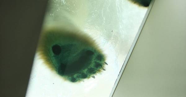 動物園は子どもの「心」を育てる場所。“楽しみながら動物を知る”ことの大きな価値