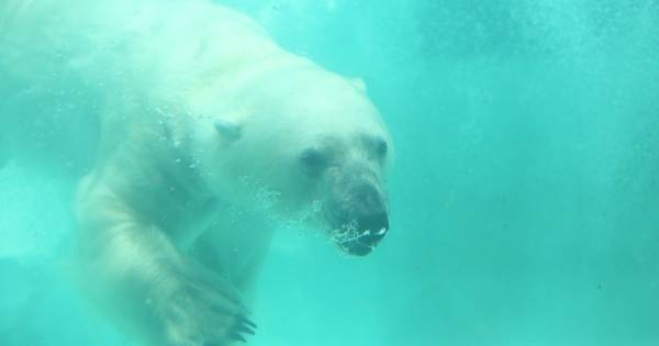 動物園は子どもの「心」を育てる場所。“楽しみながら動物を知る”ことの大きな価値