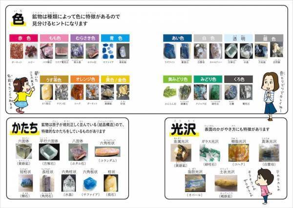 使えるアイデア満載！【 “自由研究本”パーフェクトガイド】for 1・2年生