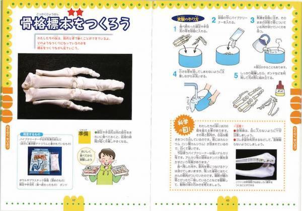 使えるアイデア満載！【 “自由研究本”パーフェクトガイド】for 1・2年生