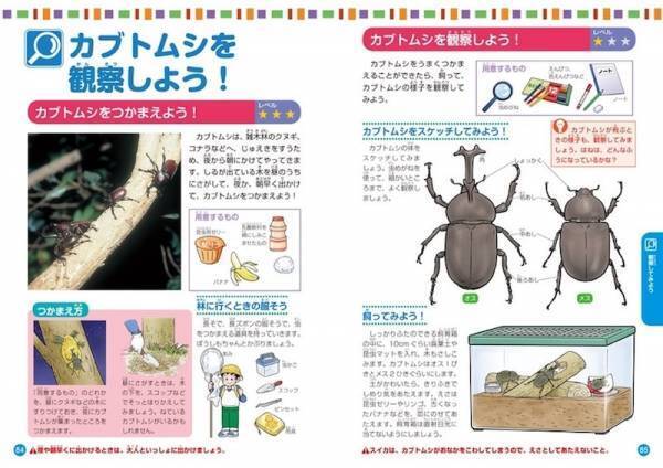 使えるアイデア満載！【 “自由研究本”パーフェクトガイド】for 3・4年生