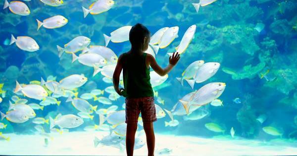 賢い子の親は「知的好奇心」が旺盛！？　“脳医学者”と“心理学者”の答え