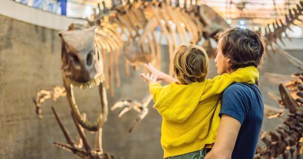 文化施設に行くと学力が上がる！「博物館・科学館」での調べ学習を成功させる秘訣【小学生の自由研究】