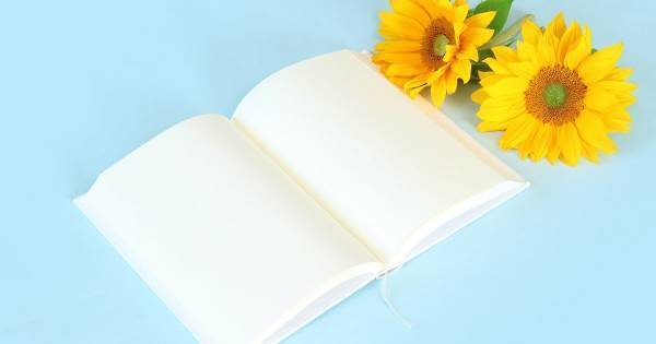 読書感想文の書き方【小学生向け】を徹底解説。夏休みの宿題がうまくいく、低学年親のサポート術