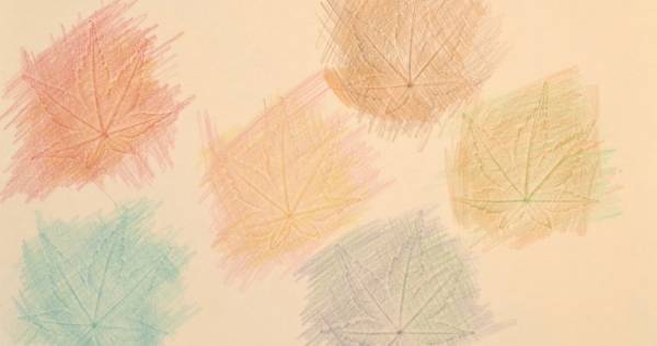 夏休みの自由研究【小学生向け】完全ガイド。工作、理科ほかテーマ満載。まとめ方も紹介！