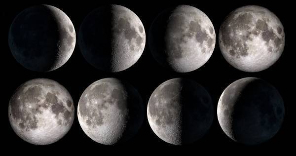 夏休みの自由研究【小学生向け】完全ガイド。工作、理科ほかテーマ満載。まとめ方も紹介！