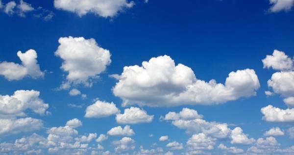 夏休みの自由研究【小学生向け】完全ガイド。工作、理科ほかテーマ満載。まとめ方も紹介！