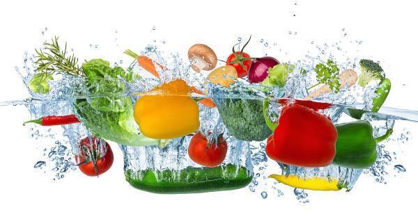 非認知能力を育む自由研究があった！　「水に浮く野菜」と「沈む野菜」の秘密を探ろう