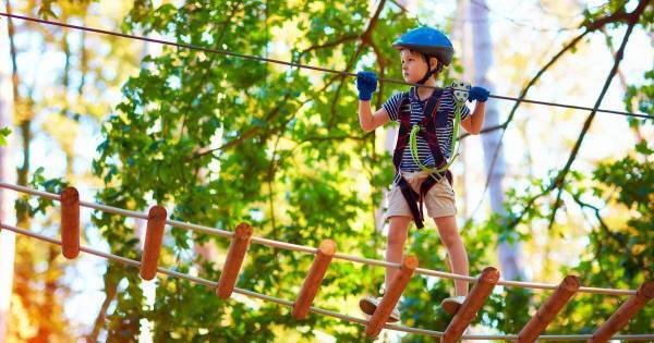 海外では宿題ナシが主流！？　脳科学者・茂木先生の提案する“理想の夏休み”