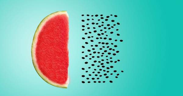 体が動くと、心が動く――。アート鑑賞のトレンドが「体感型」にシフトしている