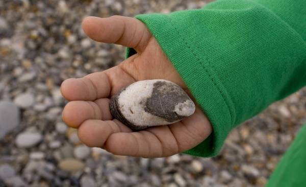 もしも子どもがアインシュタインだったら？　子どもに対して親が取るべき姿勢