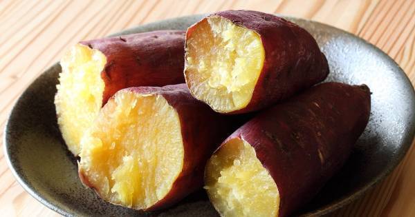 “タンパク質不足”に要注意。子どもの頭をよくしてくれる、実は身近な「ブレインフード」