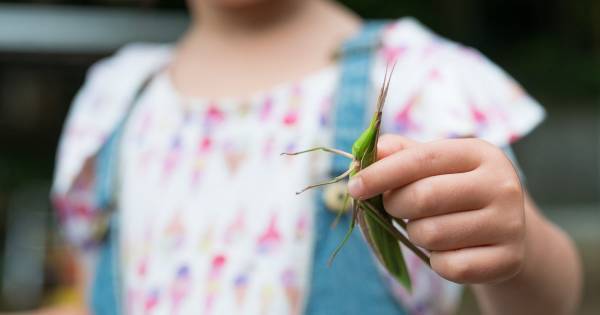 才能さがしのための「たくさんの習い事」より、もっと大事にすべきこと