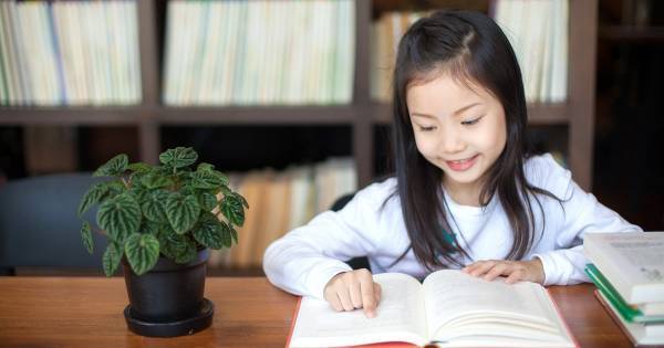 子どもが賢く育つ家はどうつくる？　一級建築士がアドバイスする家とインテリアの使い方