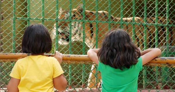 6～9歳は集中する時間が短い。「絶対的集中力」を育てる方法