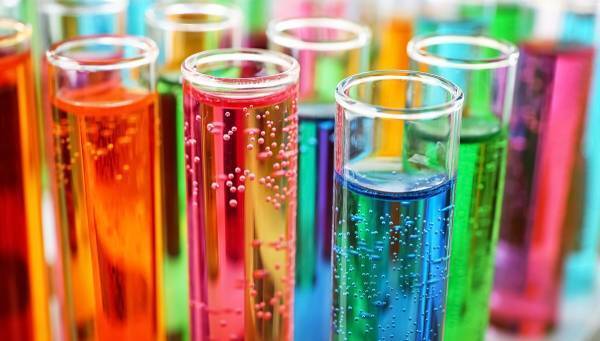 「知育菓子®」のすごい教育効果！　創造力が育まれ、作ったあとも集中力が持続。