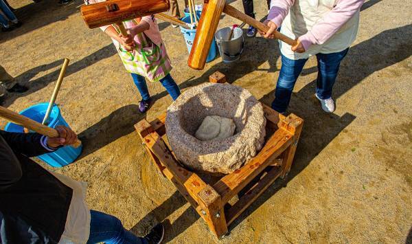 コミュニケーション能力が高い子どもは、家族との会話が多かった！　その理由は――