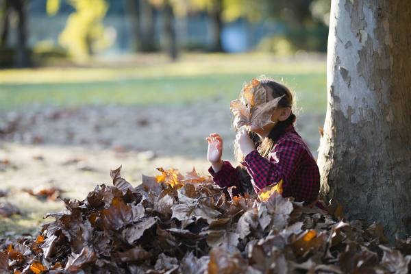 「ただの石でも化石に見える」？　自分で新たに生み出す経験が育むイノベーション能力