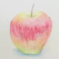 【期間限定】厳選オンラインコンテンツ――国語・算数・英語・プレゼン・アート・探究学習ほか