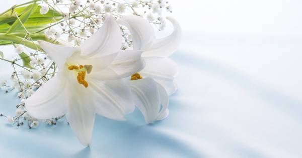 子どもに「死」を説明するにはどうしたらいい？　気をつけるべきこととは