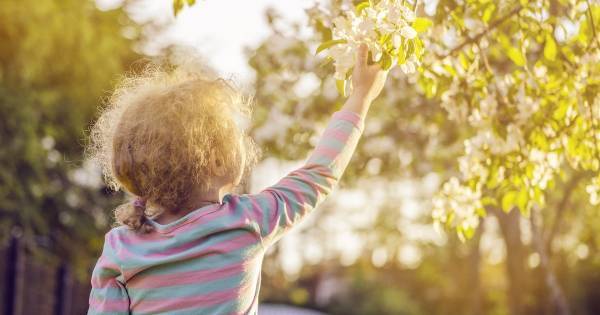 “過度な期待” が子どもの自己肯定感を下げる。親の理想を押しつけるのは危険です