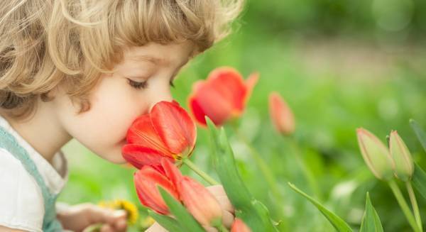 リビングに花を飾っていますか？ 「花育」で好奇心と創造力が育まれる理由