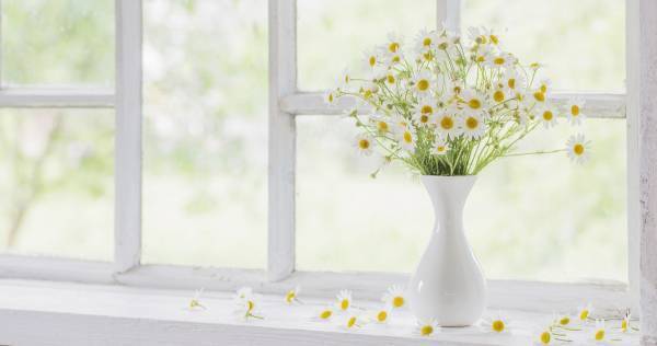 リビングに花を飾っていますか？ 「花育」で好奇心と創造力が育まれる理由