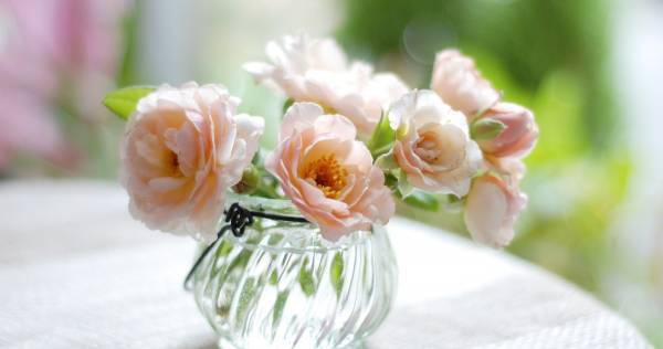 リビングに花を飾っていますか？ 「花育」で好奇心と創造力が育まれる理由