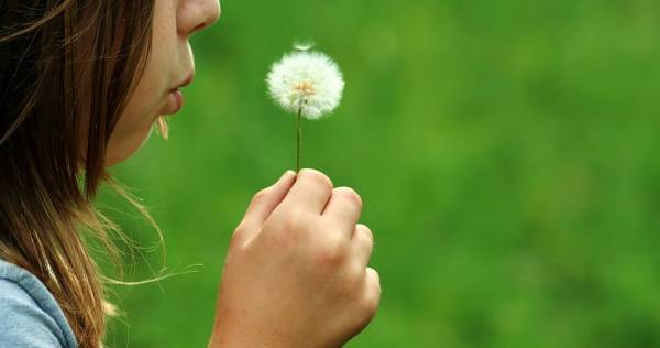 【23の質問で診断】うちの子ってHSC（人一倍繊細な子）？　 対処法も教えます