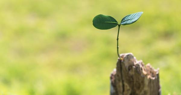 親子でレジリエンスを鍛える4つのトレーニング。折れない心を育てよう！