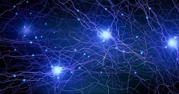 子どもの運動能力が上がる！　ゴールデンエイジとプレゴールデンエイジの過ごし方