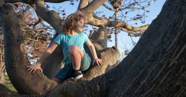 「ピンチを楽しめる子」の親がしている、たった2つの行動。AQ（逆境指数）って何？