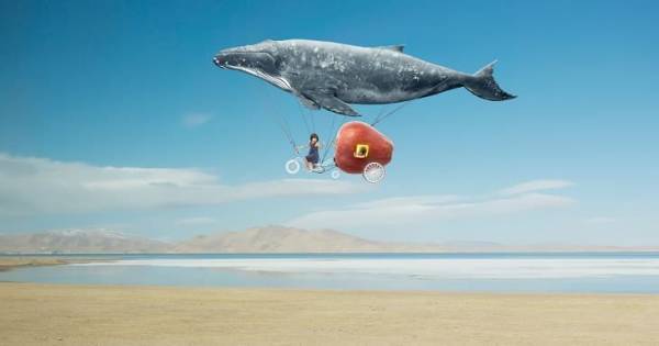 「想像力」と「創造力」。未来で活躍するための「ソウゾウ力」を伸ばす6つの方法