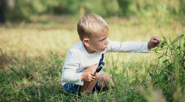 【発達黄金期に脳を刺激する7つの方法】好奇心が伸びるのは3歳～、「心の脳」の発達ピークは10歳～。