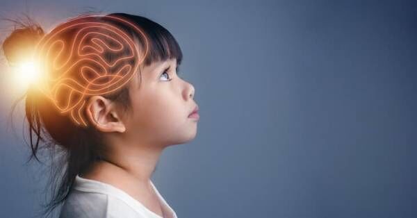 【発達黄金期に脳を刺激する7つの方法】好奇心が伸びるのは3歳～、「心の脳」の発達ピークは10歳～。