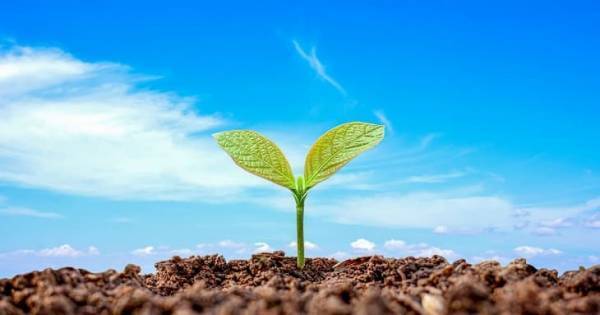 その声かけ危険ですよ！　子どもの才能を輝かせる【魔法の声かけ術】