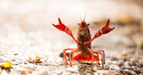 「上手だね」はNG！　自由な発想と創造力のある子がAI時代に強いわけ