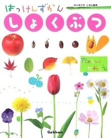 2024年におすすめ！ 小学生向け理科実験キットと図鑑で楽しむクリスマスプレゼント