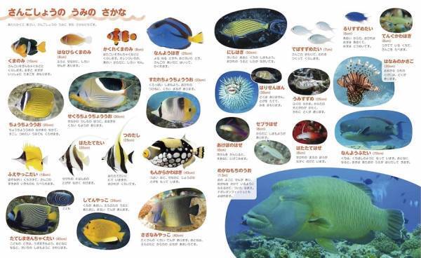 2024年におすすめ！ 小学生向け理科実験キットと図鑑で楽しむクリスマスプレゼント