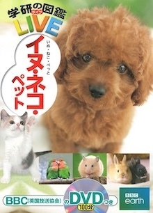 2024年におすすめ！ 小学生向け理科実験キットと図鑑で楽しむクリスマスプレゼント