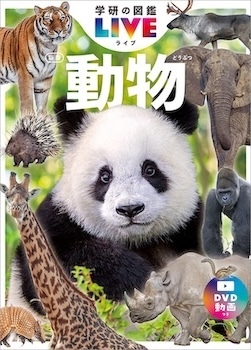 2024年におすすめ！ 小学生向け理科実験キットと図鑑で楽しむクリスマスプレゼント