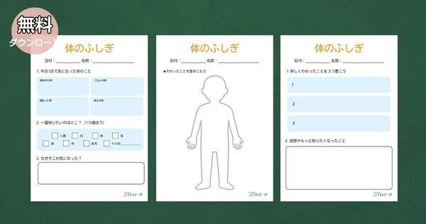 夏休みの自由研究シリーズ！①「体の不思議」探究型プロジェクト【ワークシート無料ダウンロード】