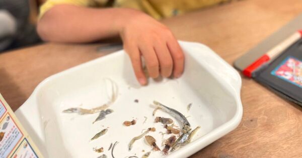 4/11 子どもの “生きる力” を育てる「おうち探究学習」のススメ